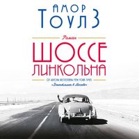 Produktbild: Shosse Linkolna