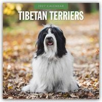 Produktbild: Tibetan Terriers &ndash; Tibet Terrier 2027 &ndash; 16-Monatskalender