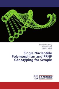 Produktbild: Single Nucleotide Polymorphism and PRNP Genotyping for Scrapie