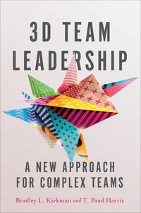 Produktbild: 3D Team Leadership