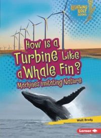 Produktbild: How Is a Turbine Like a Whale Fin?