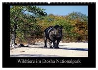 Produktbild: Wildtiere im Etosha Nationalpark (Wandkalender 2027 DIN A2 quer), CALVENDO Monatskalender