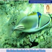 Produktbild: Die kleine Rosalinda im Urlaub auf Kreta