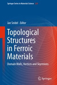 Produktbild: Topological Structures in Ferroic Materials