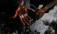 Produktbild: Ojakorotu, V: The Internationalization of Nigerian Oil Viole