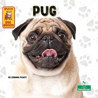 Produktbild: Pug