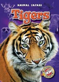 Produktbild: Tigers