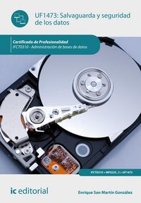 Produktbild: San Mart&iacute;n Gonz&aacute;lez, E: Salvaguarda y seguridad de los datos