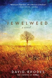 Produktbild: Jewelweed