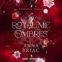 Produktbild: Tenebr&auml;e tome 3: Le Royaume des ombres