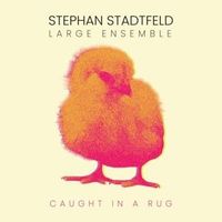 Produktbild: Caught in a Rug
