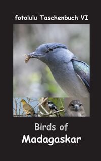 Produktbild: Birds of Madagaskar