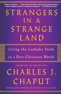 Produktbild: Strangers in a Strange Land