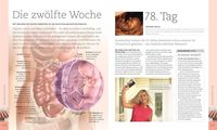 Alles über meine Schwangerschaft Tag für Tag