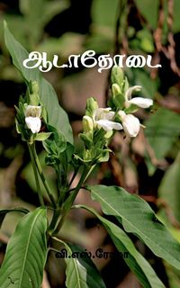 Produktbild: Aadathodai