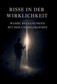 Produktbild: Risse in der Wirklichkeit