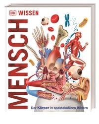 Produktbild: DK Wissen. Mensch