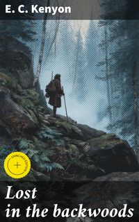 Produktbild: Lost in the backwoods
