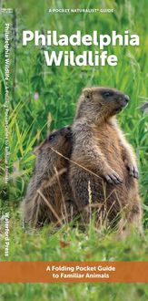 Produktbild: Philadelphia Wildlife