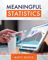 Produktbild: Meaningful Statistics