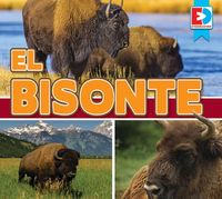 Produktbild: El Bisonte (Bison)