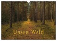 Produktbild: Unser Wald - Magische Sichten in norddeutsche W&auml;lder (Wandkalender 2026 DIN A3 quer), CALVENDO Monatskalender