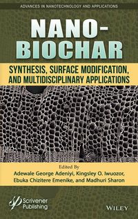Produktbild: Nano-Biochar