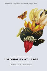 Produktbild: Coloniality at Large