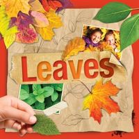 Produktbild: Leaves