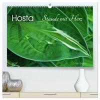 Produktbild: Hosta Staude mit Herz (hochwertiger Premium Wandkalender 2026 DIN A2 quer), Kunstdruck in Hochglanz