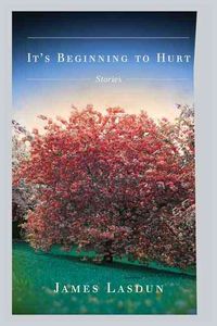 Produktbild: It's Beginning to Hurt: Stories