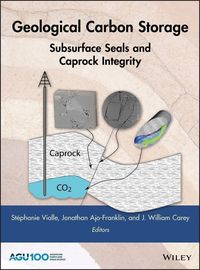 Produktbild: Geological Carbon Storage