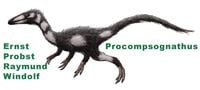 Produktbild: Procompsognathus