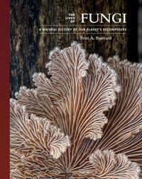 Produktbild: The Lives of Fungi