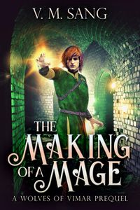 Produktbild: The Making Of A Mage