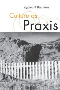 Produktbild: Culture as Praxis