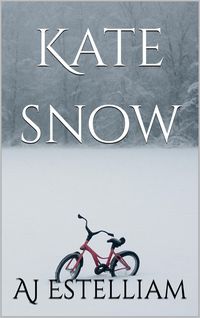 Produktbild: Kate Snow (Emerson and Snow, #1)
