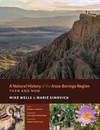 Produktbild: A Natural History of the Anza-Borrego Region - Then and Now