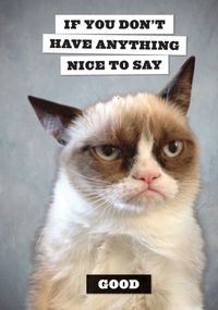 Produktbild: Journal-Grumpy Cat