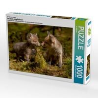 Produktbild: CALVENDO Puzzle Ein Motiv aus dem Kalender Bei den Jungf&uuml;chsen | 1000 Teile Lege-Gr&ouml;&szlig;e 64x48cm Foto-Puzzle f&uuml;r gl&uuml;ckliche Stunden
