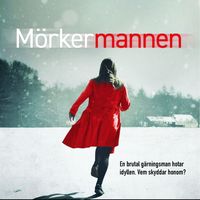 Produktbild: M&ouml;rkermannen