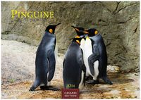 Bild vom Artikel Pinguine 2024 L 35x50cm vom Autor 