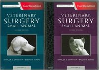 Produktbild: Veterinary Surgery: Small Animal Expert Consult