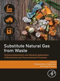 Produktbild: Substitute Natural Gas from Waste