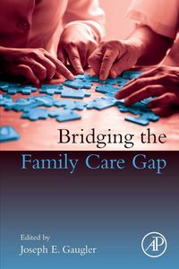 Produktbild: Bridging the Family Care Gap