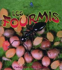 Produktbild: Les Fourmis (the Life Cycle of an Ant)