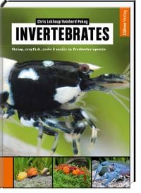 Produktbild: Invertebrates