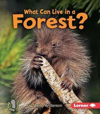 Produktbild: What Can Live in a Forest?