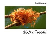 Produktbild: 26,5 x Freude