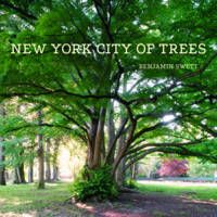 Produktbild: New York City Of Trees